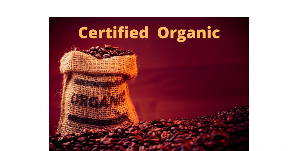 best whole bean organic coffee