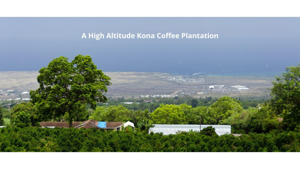 big island hawaii coffee farms