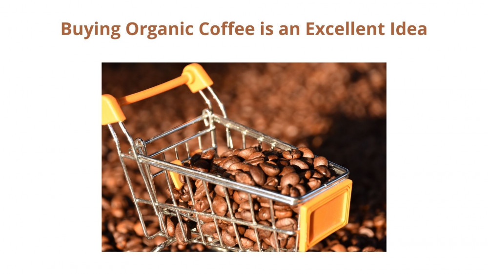 where can i buy organic coffee